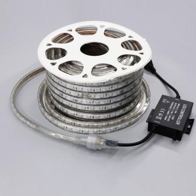 China Hotel Light 110 Volt To 240 V 110v Ip67 Ip68 RGB Led Strip Light AC 110-120v for sale