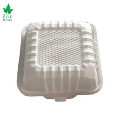 China Biodegradable Disposable Food EGP Bento Lunch Box Container for sale