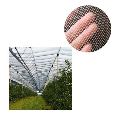 China White Garden Used EGP HDPE Hail Protection Net Large For Apple Tree Agriculture for sale