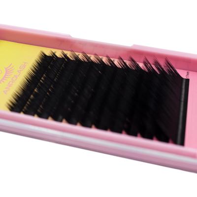 China Full Volume Anrolash 03 Individual Pbt Lashese Korean Classic Volume Eyelash Extension Trays With Case Private Label for sale