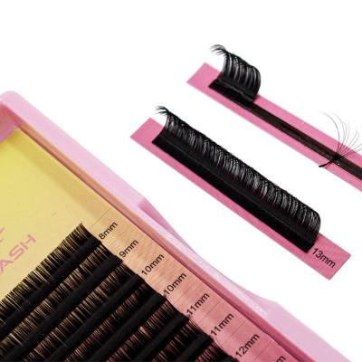 China Full Volume Anrolash Korean Person Lash Mixed Eyelash Tray C Curl Volume Lashes D Curl 0.5 Classic Eyelash Extension Professionals for sale