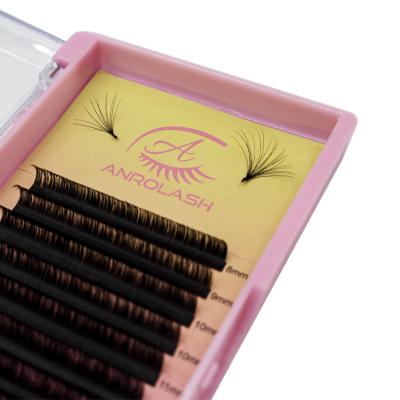 China High Quality Anroalsh Eyelash Extension Supplies Full Volume Individual Lashes One Lashes Silk Individual Private Label for sale