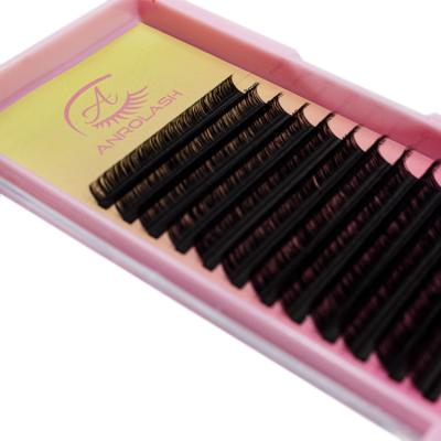 China Cheap Loose Individual Lash Box Lash Tray Korean Individual Lashes Silk Eyelash Extension Full Volume Anrolash Wholesale for sale