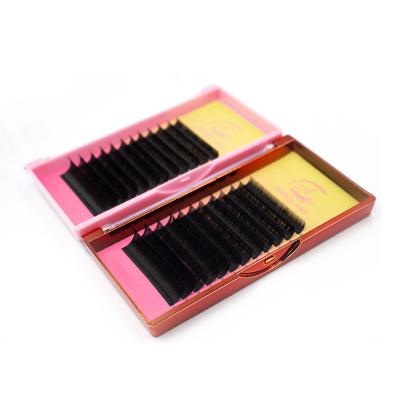 China Easy Silk Mink Fan Extensions Lash Extensions Individual Lashes Full Volume Anrolash Extensions Cheap Volume Trays for sale