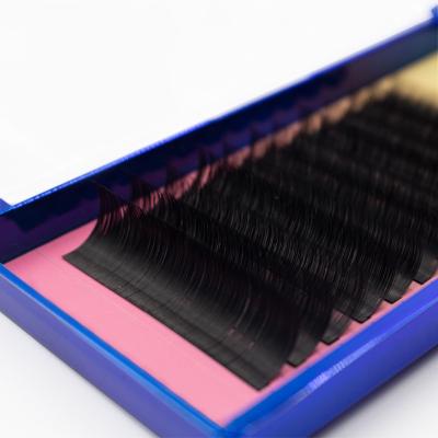 China Full Volume Anrolash Lashese with Easy Fanning Bulk Cashmere Eyelash Extensions Wholesale Different Cases for sale