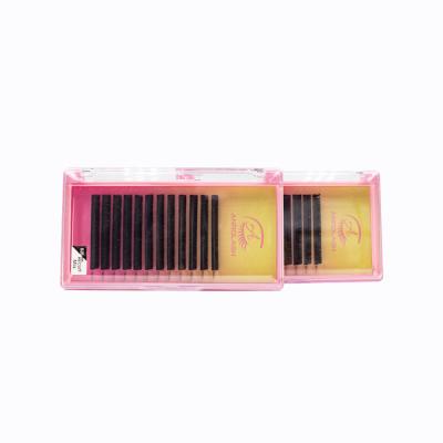 China Premium Anrolash Silk Extension 0.07 Full Volume Lashes Flat 0.1cc Dual Density Curl Ellipse Eyelash Extension Supplier for sale