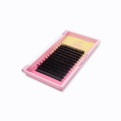 China Anrolash Full Volume Fanning Auto Easy Fan PBT Korean Fiber Synthetic Eye Lashes 8-20mm Easy Fanning Eyelash Extensions for sale