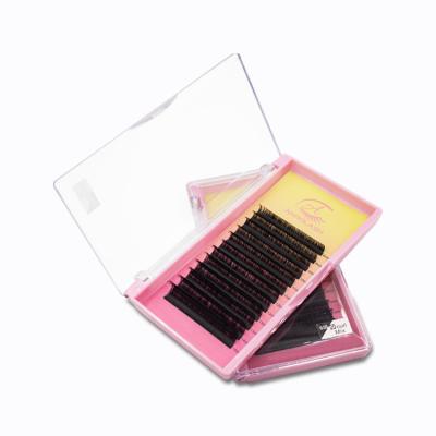 China Wholesale Individual Lash Trays Full Volume ANROLASH Lashes Extension Easy Fan Lash for sale