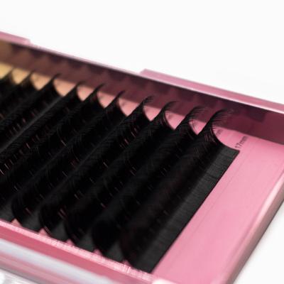 China Full Volume Anrolash Make Your Own Brand Custom Lash Packaging With Your Logo Classic Lash Tray Foil Back for sale