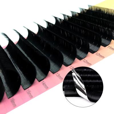 China Anrolash Custom Private Label Flutty Matte Private Label 25mm Classic Soft Dark Eyelash Extension Trays for sale