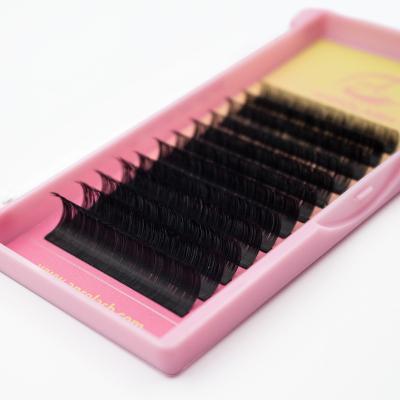 China Full Volume Anrolash Wholesale Mink Silk Lashes 0.03 D Curl Extra Mega Volume Lash Extensions Large Group Lashes People for sale