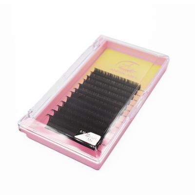 China Full Volume ANROLASH Lash Extensions Flat Individual Lash Tray Vendors for sale