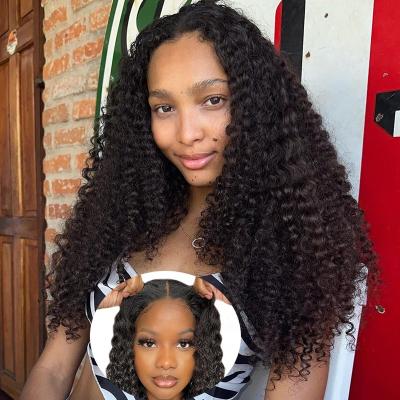 China Wholesale Raw Brazilian Human Hair 5x5 HD Body Wave Lace Frontal Wig, Virgin Hair Full Lace Wig, 13x4 13x6 Glueless Lace Front Wig for sale