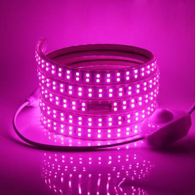 China Hotel 220V High Voltage 28350 SMD Led Strip Light 180 LED One Meter Waterproof IP67 For Outdoor for sale