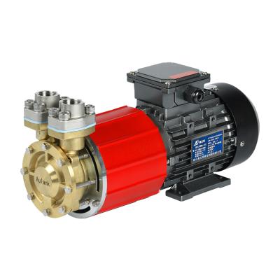 China Other Design High Quality Brass Advanced Magnetic Cold Water Centrifugal Pump for sale