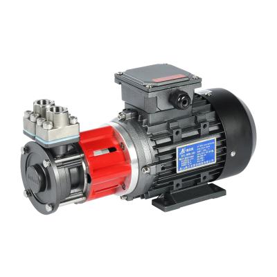 China Other sus 304 magnetic transmission high temperature hot water circulation pump for temperature control unit for sale