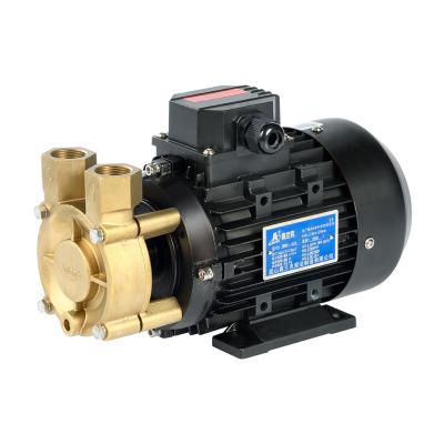 China Other WD 0.55KW Small Mechanical Seal High Temperature Water Pump for sale