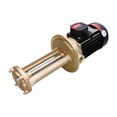 China Other Semiconductor Temperature Control Brass Water Pump Vortex Pump for sale