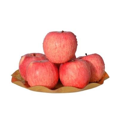 China Red Fuji Apples Fresh Commodities Chinese Fuji Apples for sale