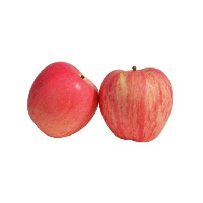 China Fresh Red Delicious Apple Huaniu Apple Fuji Apple for sale