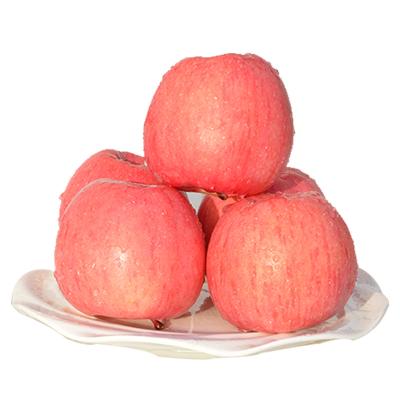 China China Export Fresh Sweet Apple Premium Quality for sale