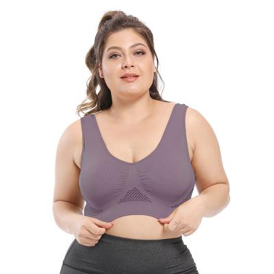 China Hot selling high quality QUICK DRY plus-size full-cup seamless bras for fat women for sale