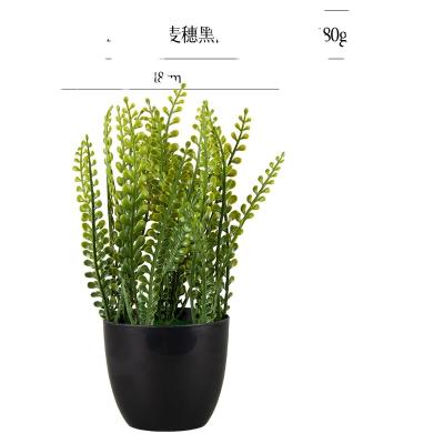 China Sustainable Persian Grass Plants Wedding Indoor Outdoor Garden Decor Shrubs Bushes for sale