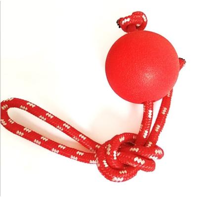 China Manufacturer Rubber Chew Ball Viable Tooth Cleaner Toy Dog Training Toys For Dogs Interactive for sale