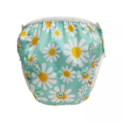 China Ananbaby Printed Eco-friendly Reusable Waterproof Cloth Swim Diaper For Kids Baby Swim Diaper Pants for sale