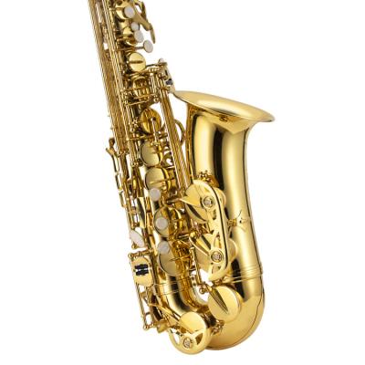 China Gold Lacquer Good Quality Silver Gold Musical Instrument Various Professional BB Parte Tenor Saxophone for sale