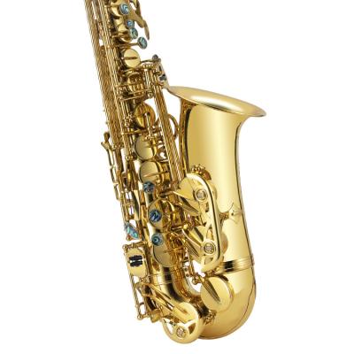 China Professional Gold Lacquer Good Quality Saxophone Accessories Golden Bb Parte Tenor Chinese Sopranino Saxophone for sale