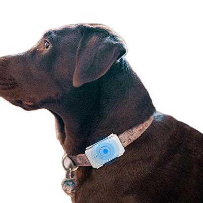 China Pet Security Tracking Smart Smart Pet Tracker GPS Tracker Waterproof Dog Pet Tracker For Dog Collar With Sim for sale