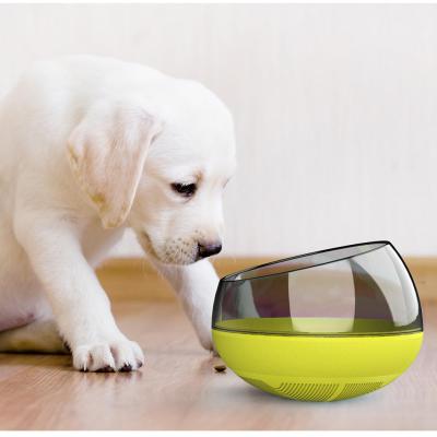 China Hot Sale 2021 Puppy Bowl Pet Bowl Sustainable Slow Feeding Pet Health Feeding Bowl for sale