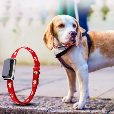 China Pet Safety Tracking Wireless Pet Tracker Smartphone App Control GPS Pet Tracker For Dogs Waterproof Light Weight for sale