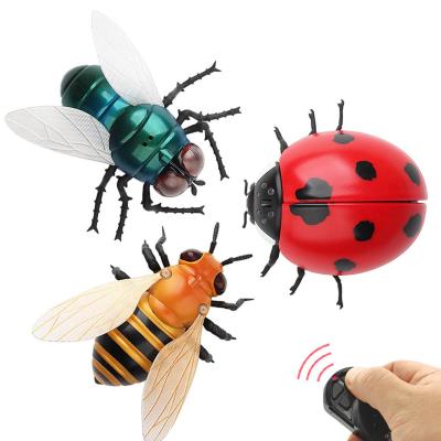 China 2018 new arrival rc hobby mini rc flying insect toy on sale for sale