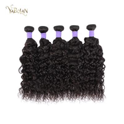 China Wholesale Virgin Brazilian Water Wave Hair Inquiry Raw Active Brazilian Bulk Piece Hair Good Quality Virgin Hair and Wholesale Virgin Water Wave Hair for sale