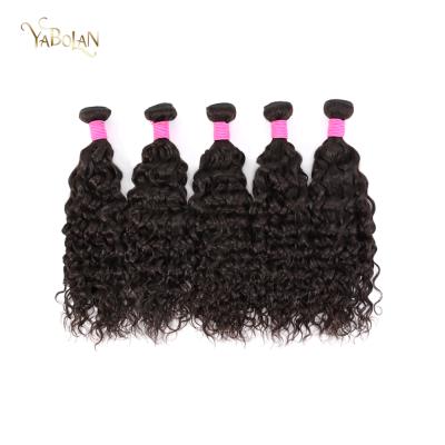 China Top Quality Water Wave Virgin Hair Water Wave Weave Hair Vapor Processed Virgin Hair Vendor, Cuticle Aligned A Vendor Virgin Processed Brazilian Hair for sale