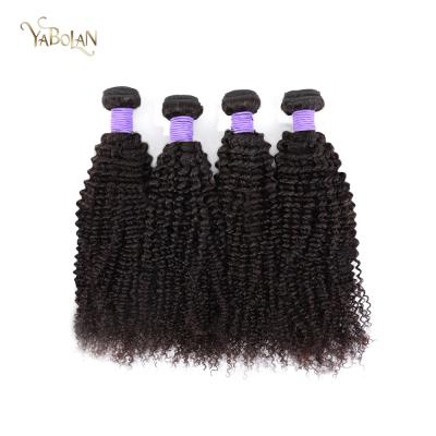 China 2022 Bundle 2022 New Arrival Kinky Curly Virgin Human Hair Raw Brazilian Kinky Curly Hair for sale