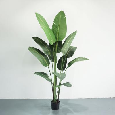 China Paradise Decoration Plant Plastic Traveler Fake Natural Touch Indoor Bird for sale