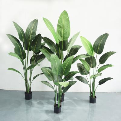 China Natural artificial decorative plant artificial banana plant simulation touch traveler banana tree for shop decoration for sale