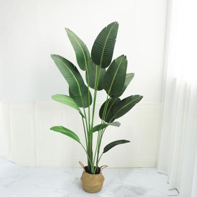 China Touch Natural Hot Selling Artificial Banana Tree For Home Decoration Traveler Plastic Banana Tree On Shopping Mall Supermarket Sale for sale