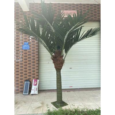 China Factory Direct Wholesale Price Plastic Coconut Tree Small Size Artificial Trees High Simulation Realistic Outdoor Artificial Palm Tree for sale