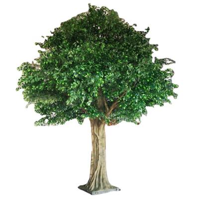 China Beautiful Artificial Ficus Tree Plants Wholesale Colorful Artificial Green Tree Leaf Custom Ficus Microcarpa Bonsai Trees Fake Microcarpa Leaves Ficus for sale