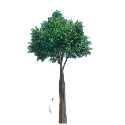 China Large Artificial Ficus Elastica Silk Tree Lyrata Ficus Beautiful Colorful Artificial Tree Banyan Trees for sale