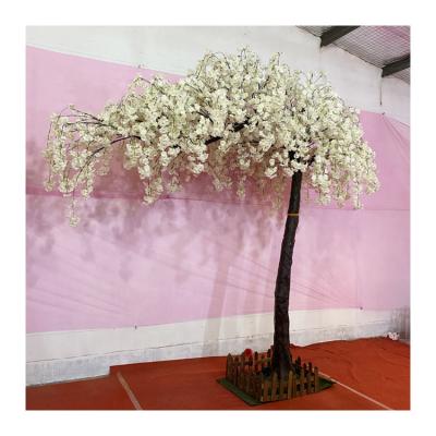 China Customized Indoor Outdoor Sakura Table Small Big Artificial Cherry Blossom Tree For Wedding Size Red White Pink Decor Customized Beautiful Colorful Artificial Tree for sale