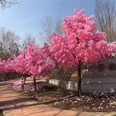 China Beautiful Cherry Blossom Tree Lifelike Sakura Tree Plant Garden Decor Artificial Tree Home Decor Colorful Artificial Chinese Outdoor Plastic Sakura Flower for sale