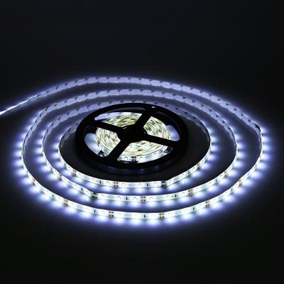 China LANDSCAPE Smd2216 2835 3528 5050 led strip lights OEM 120leds/m led strips 6mm 8mm 10mm 12mm for sale