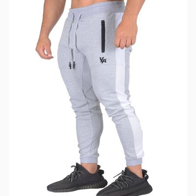 China Leisure Breathable Lunar Blue Pants Fitness Sportswear Cotton Jogger Outdoor Pants For Men for sale