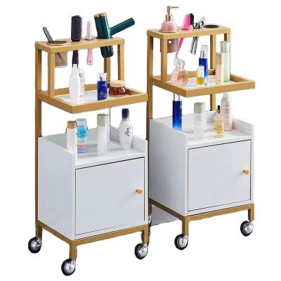 China Modern Modern High Quality Modern Salon Beauty Tool Cart Tools salon Trolley Trolley Furniture on Clearance Sale for sale