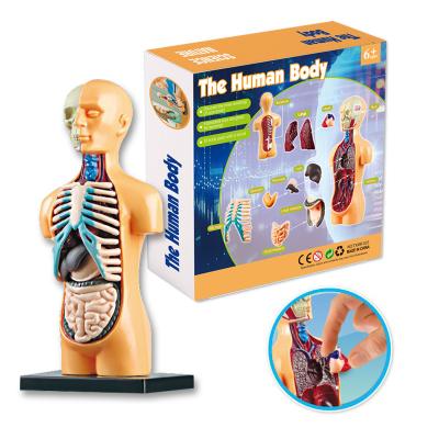 China Wholesale 25*25*5cm DIY Human Organs Body Set Educational Intelligent Toys Set 25*25*5cm for sale